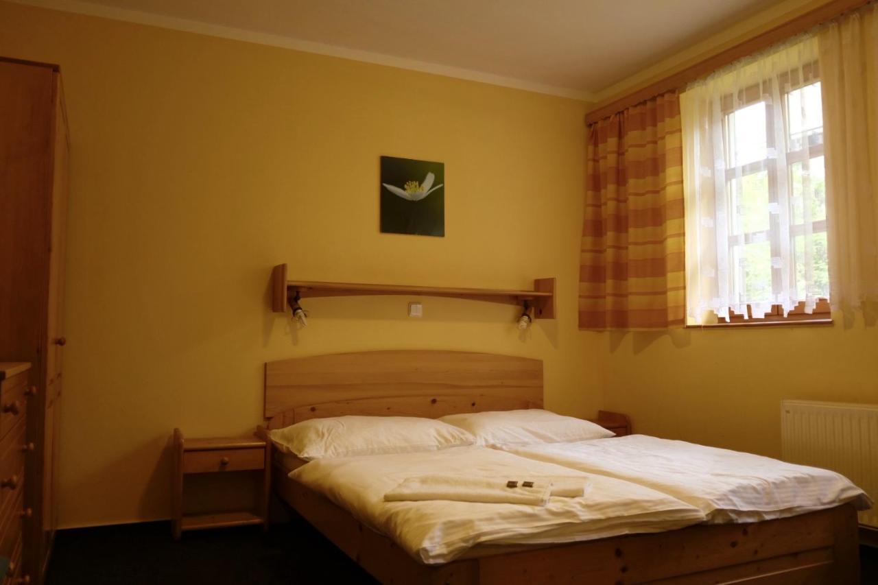 Penzion U Studeného potoka Nove Hute Extérieur photo